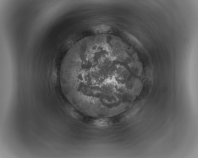 X0000110870761200906251228