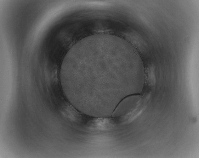 X0000110870762200906251228