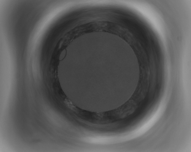 X0000110870767200906251228