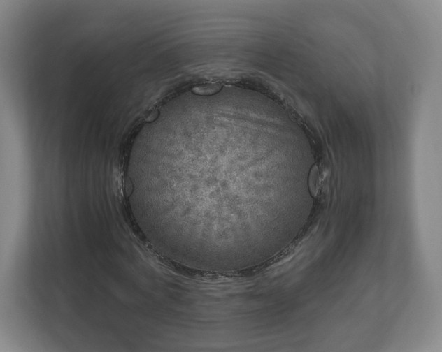 X0000110870772200906251228