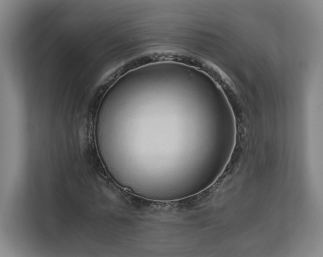 X0000110870775200906251228