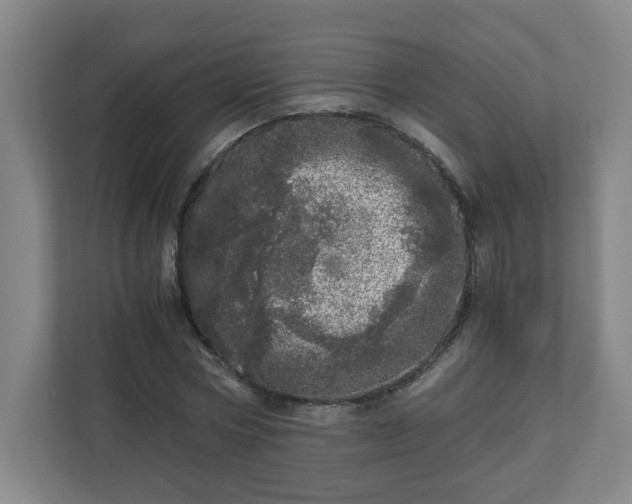 X0000110870778200906251228