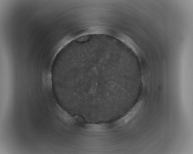 X0000110870781200906251228