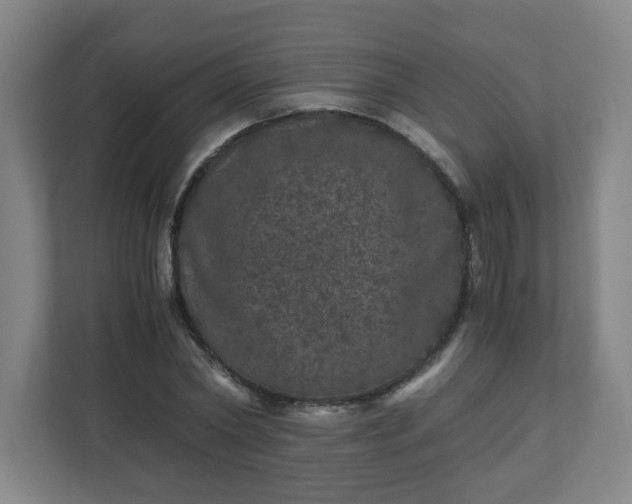 X0000110870782200906251228