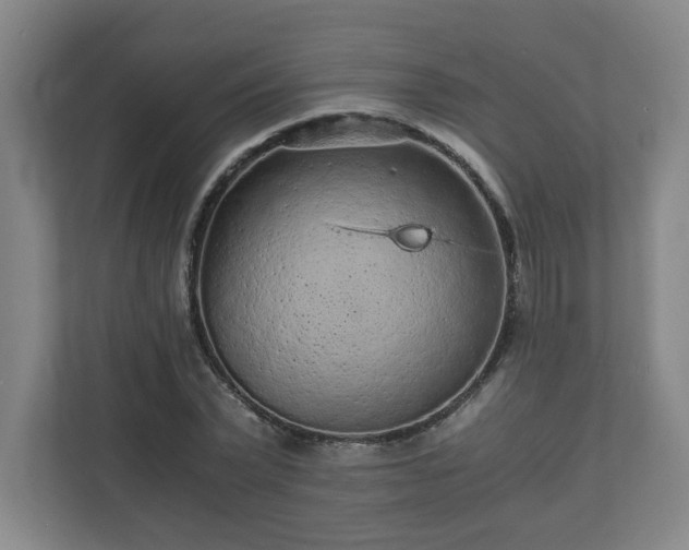 X0000110870783200906251228