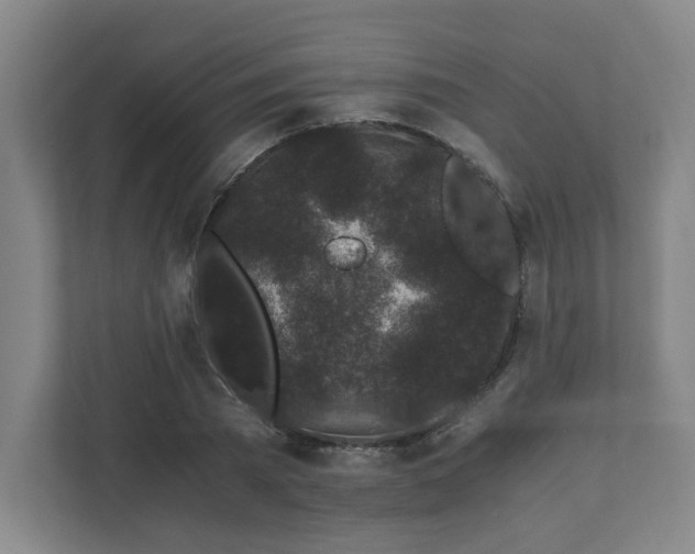 X0000110870785200906251228