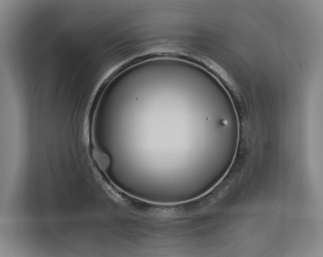 X0000110870791200906251228