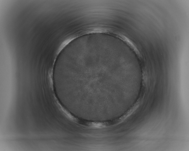 X0000110870794200906251228