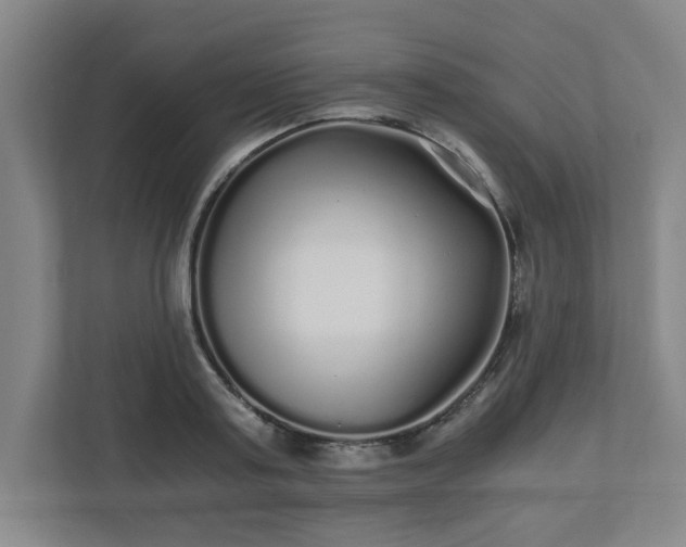 X0000110870795200906251227