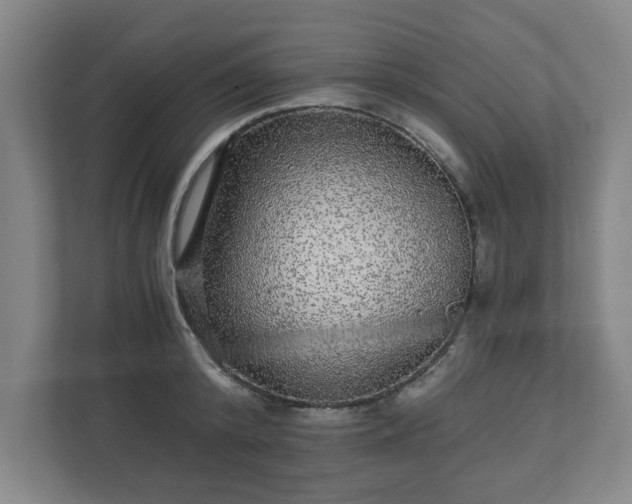 X0000110870800200906251227