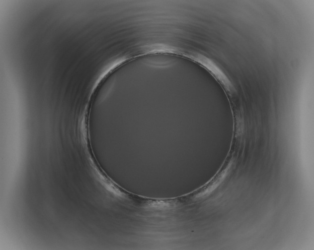 X0000110870806200906251227