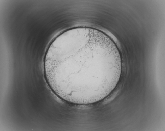 X0000110870807200906251227