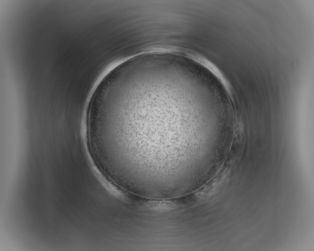 X0000110870811200906251227