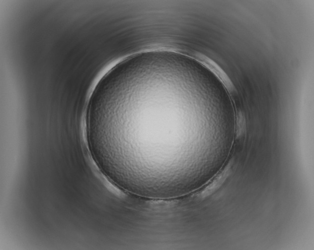 X0000110870812200906251227