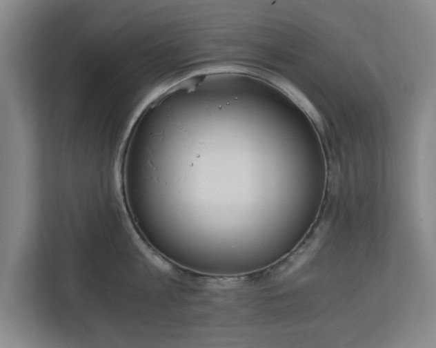 X0000110870813200906251227