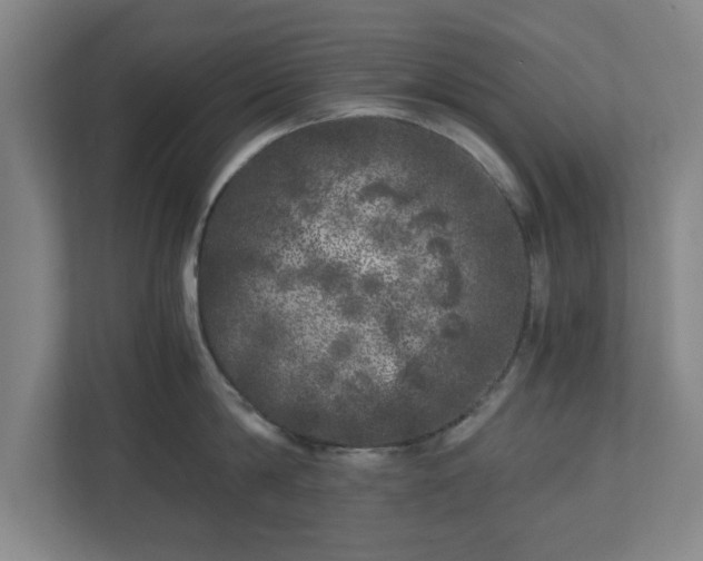 X0000110870814200906251227