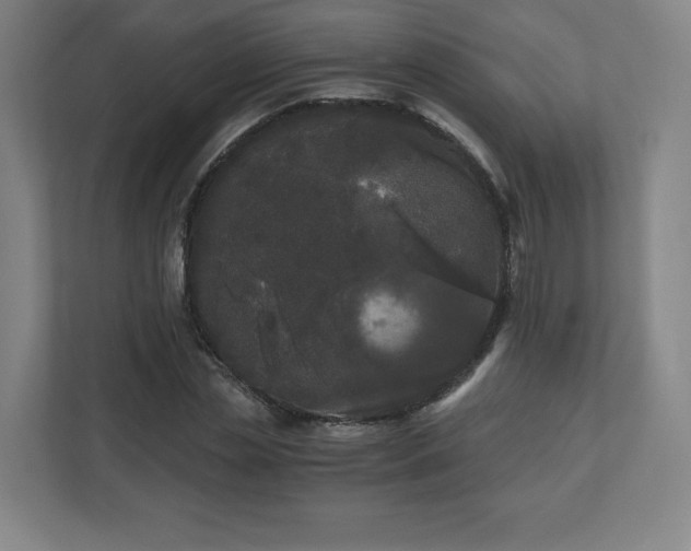 X0000110870829200906251227