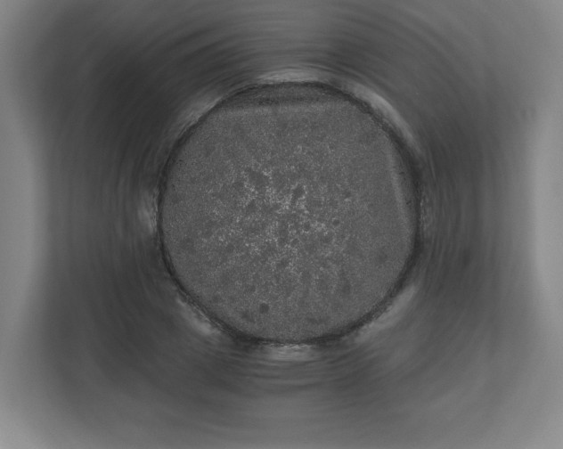 X0000110870833200906251227