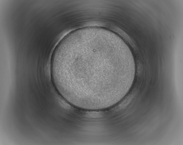 X0000110870836200906251227