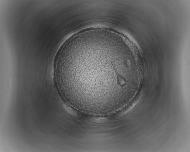 X0000110870837200906251227