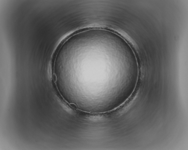 X0000110870838200906251227