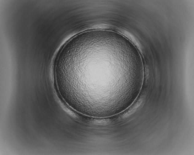 X0000110870843200906251227