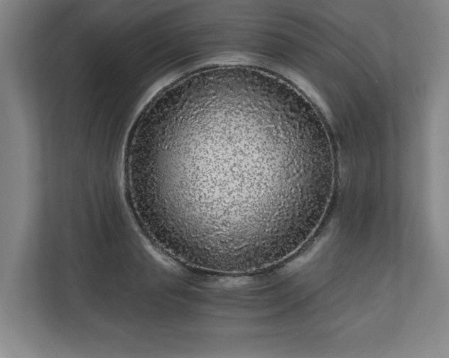 X0000110870845200906251227