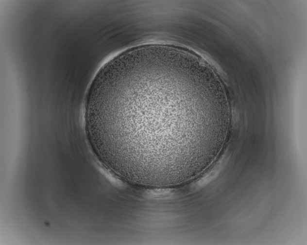 X0000110870846200906251227