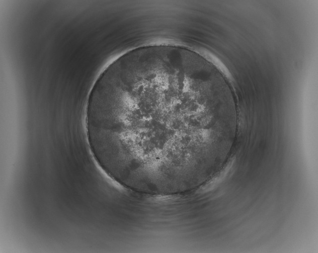 X0000110870847200906251227