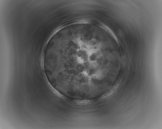 X0000110870851200906251227