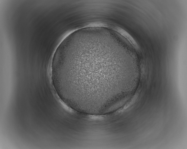 X0000110870852200906251227