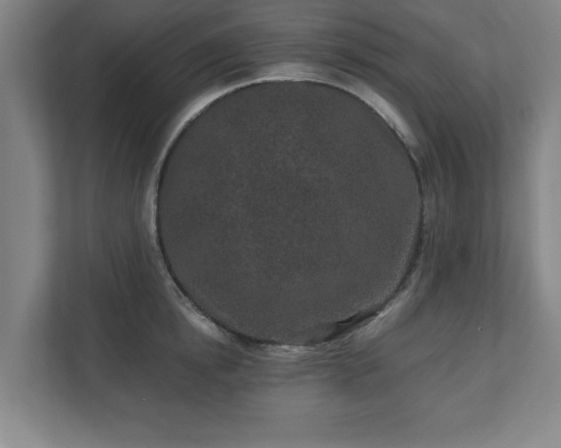 X0000110870854200906251227