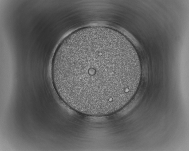 X0000110870856200906251227