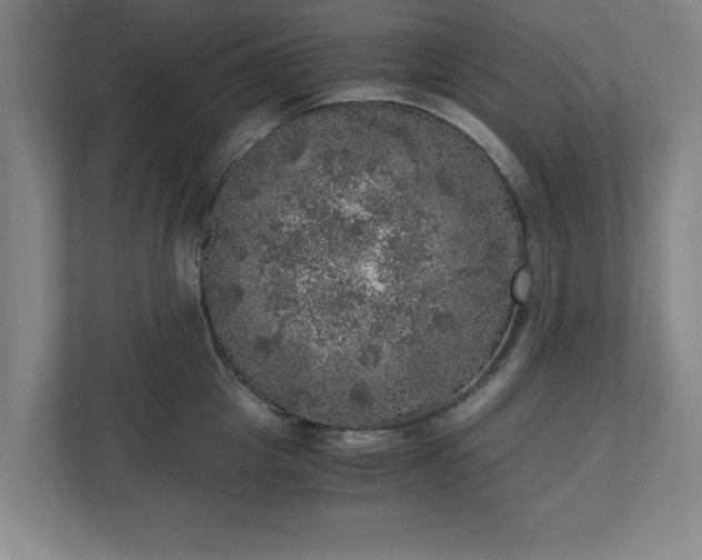 X0000110870857200906251227