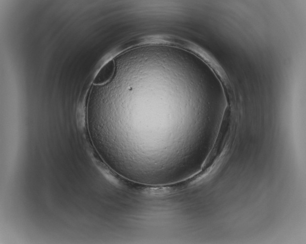 X0000110870858200906251227