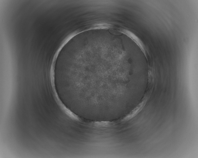 X0000110870859200906251227