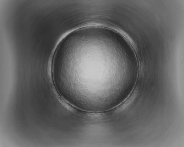 X0000110870862200906251227