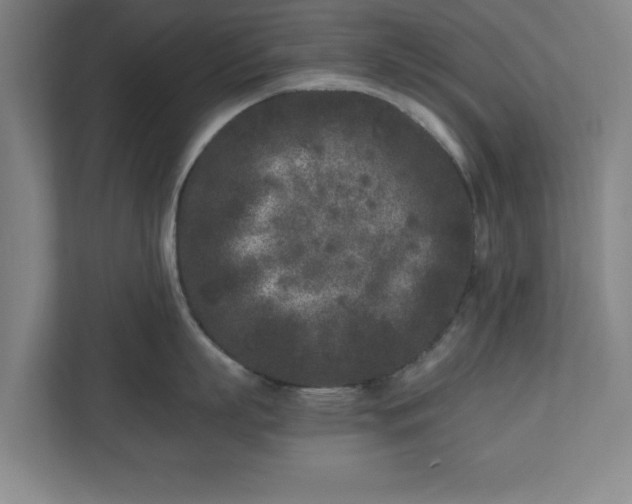 X0000110870863200906251227