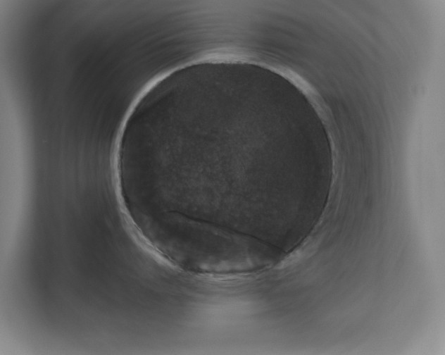 X0000110870864200906251227