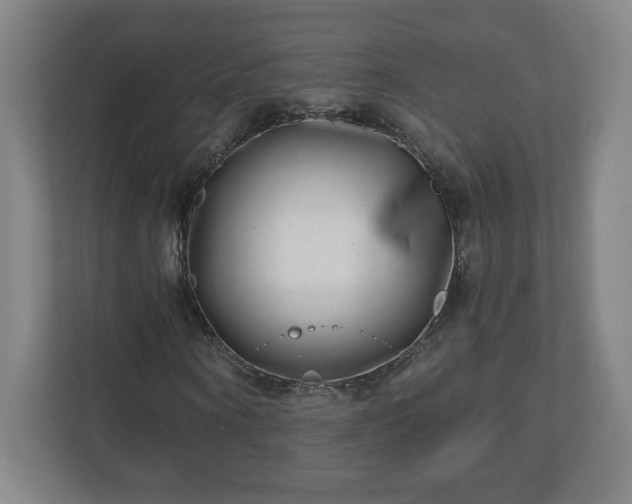 X0000110870866200906251227