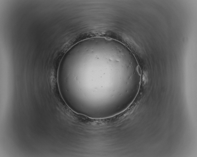 X0000110870867200906251227