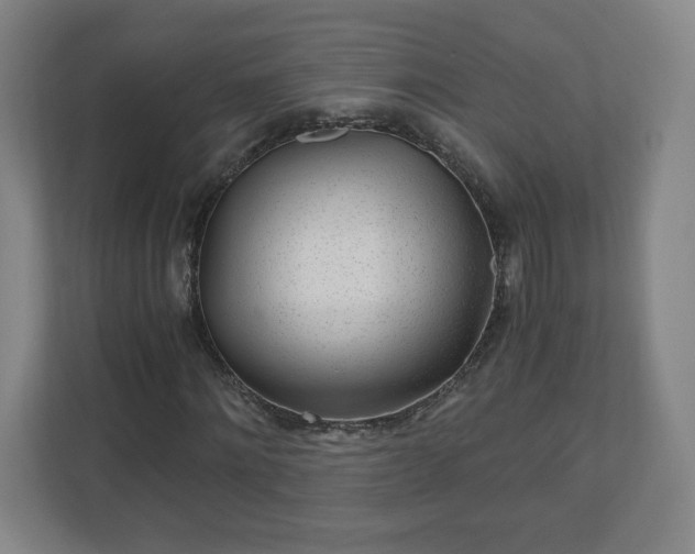 X0000110870868200906251227