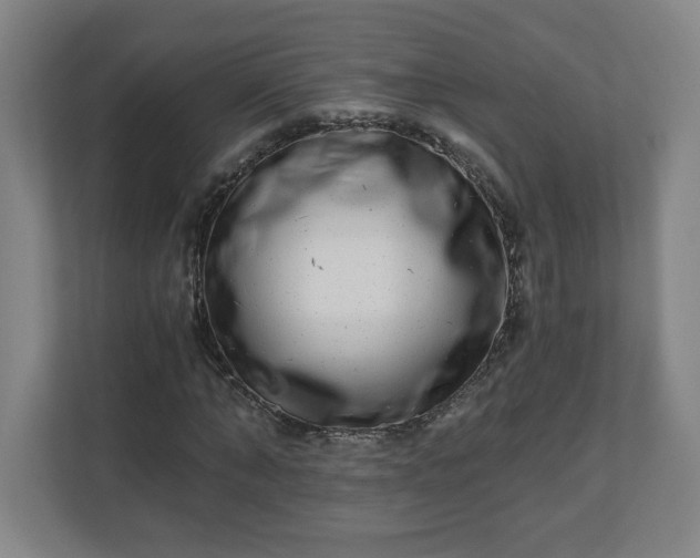 X0000110870870200906251227