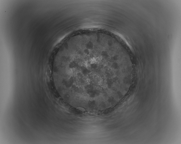 X0000110870871200906251226