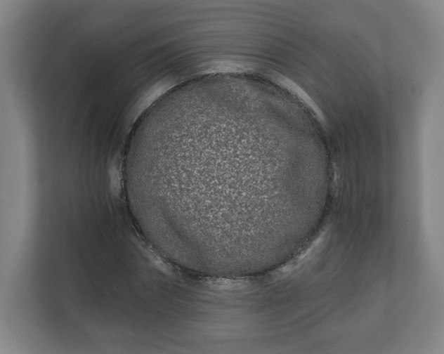 X0000110870874200906251226