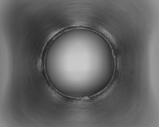 X0000110870876200906251226