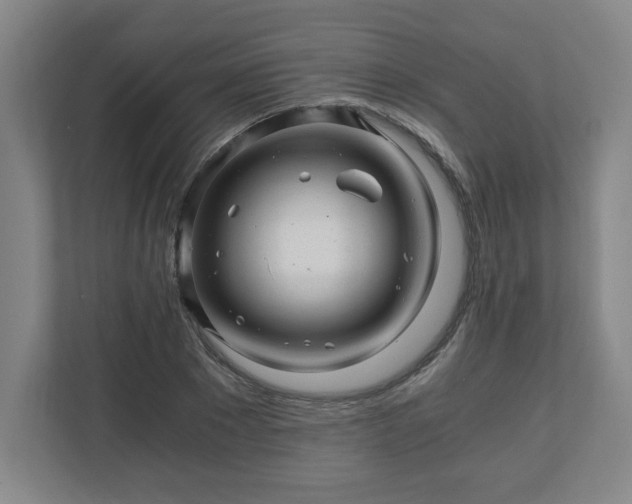 X0000110870881200906251226