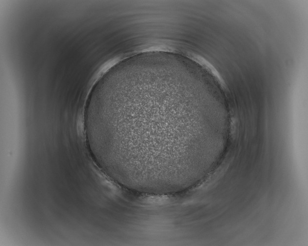 X0000110870882200906251226