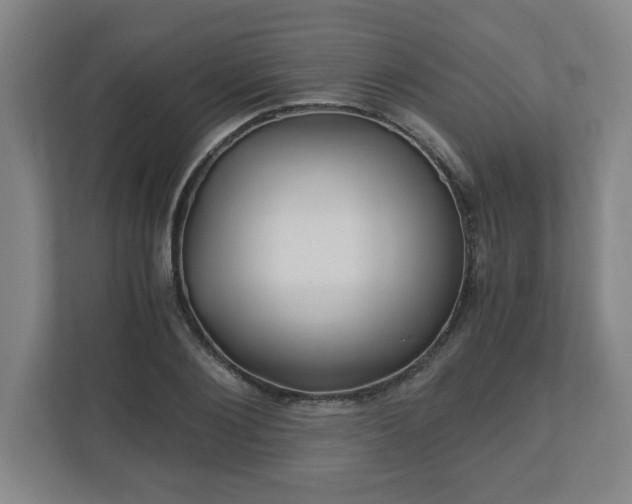 X0000110870884200906251226