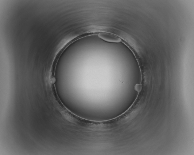 X0000110870885200906251226